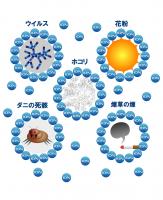 首にけかる携帯用空気清浄機イオンバリア【エアサプライ】 ブラック